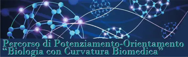 Curvatura Biomedica