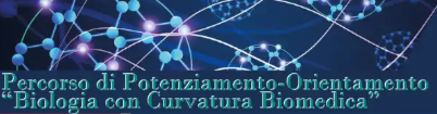 Curvatura biomedica